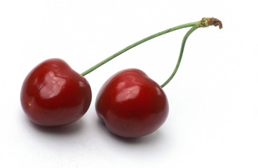 Cerises burlat