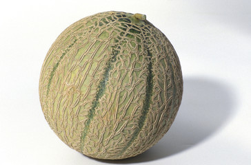 Melon charantais brodé