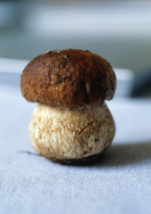 Cèpe