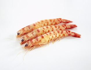 Grosses crevettes