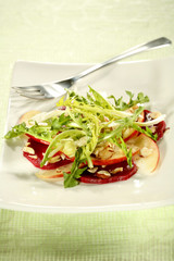 Salade de pissenlits 