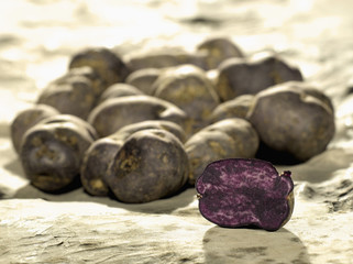 Pommes de terre vitelottes