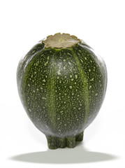 Courgette ronde