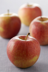 Pommes reinettes