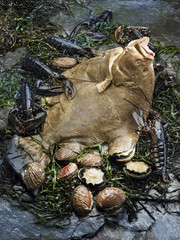 Turbot, homards et ormeaux