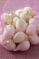 Filet d'oignons grelots blancs