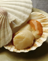 Noix de saint-jacques