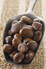 Pelle de châtaignes