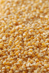 Étal de grains de maïs à éclater