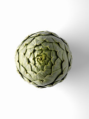 Fototapeta premium Artichaut