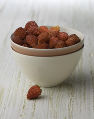 Bol de fraises des bois