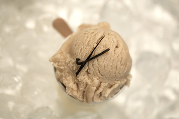 Glace vanille