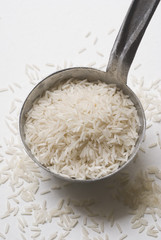 Louche de riz basmati