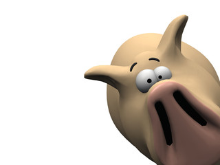 bonjour le cochon © NJ