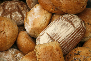 Composition de pains bio