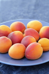 Assiette d'abricots