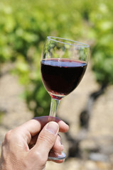 Déguster un verre de vin rouge dans les vignes