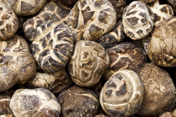 Close up dry mushrooms