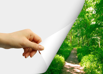 Fototapety na wymiar - Fototapeta24.pl