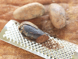 Râper une fève de cacao