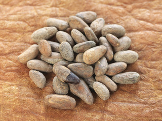 Tas de fèves de cacao