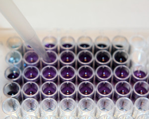 Laboratory