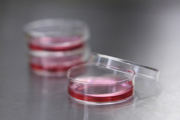 Cell culture