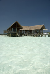 Lagoon