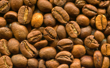 coffee beans