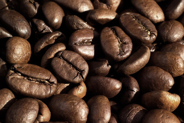 Coffee beans background