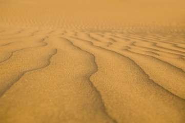 Sand desert