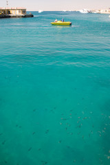 Coral Reef Red Sea Egypt Seascape