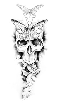 Sketch of tattoo art, skull