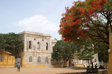 Obraz premium Ile de Goree Town