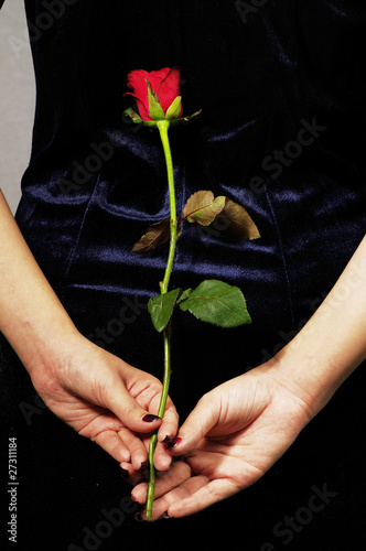 Single Red Rose In Hand Stock Photo And Royalty Free Images On
