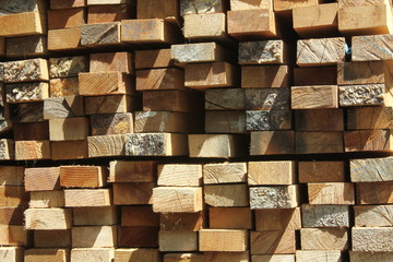 The pile of wood sticks