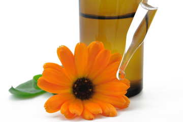 ringelblume mit flasche