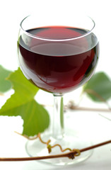 Glass of red  wine