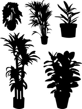 flowers silhouettes - vector