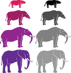 elephant vector - evolution