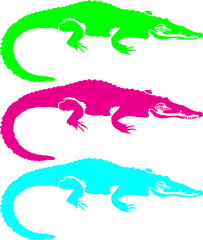 crocodile vector
