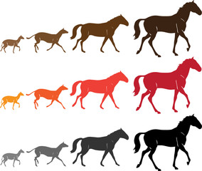 horses vector - evolution