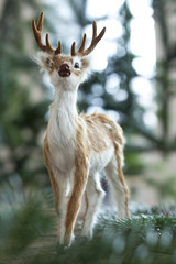 Hirsch für die Wohnung