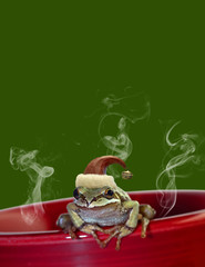 Christmas Tree Frog Sitting on Red Mug 2