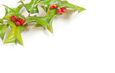 Christmas green framework with holly berry isolated on white