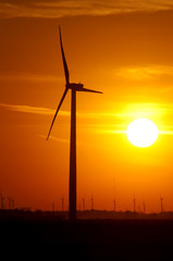 Obraz premium Wind farm at sunset
