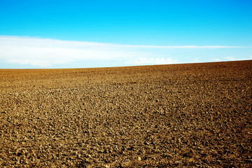 Feld im Herbst 465