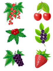berries
