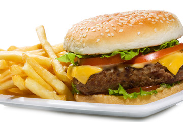 hamburger with fries