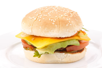 cheeseburger on the plate
